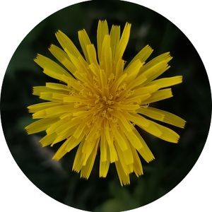 Meet your Posher, Md